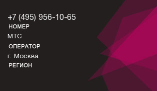 4959561065